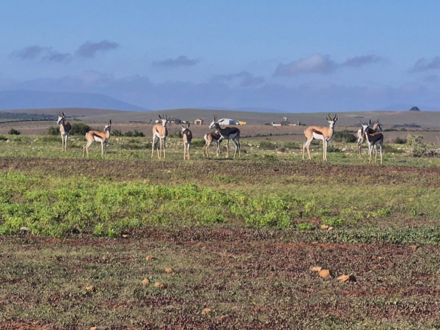 Commercial Property for Sale in Gouritsmond Rural Western Cape
